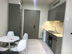 Robin Residences (D10), Condominium #577168491